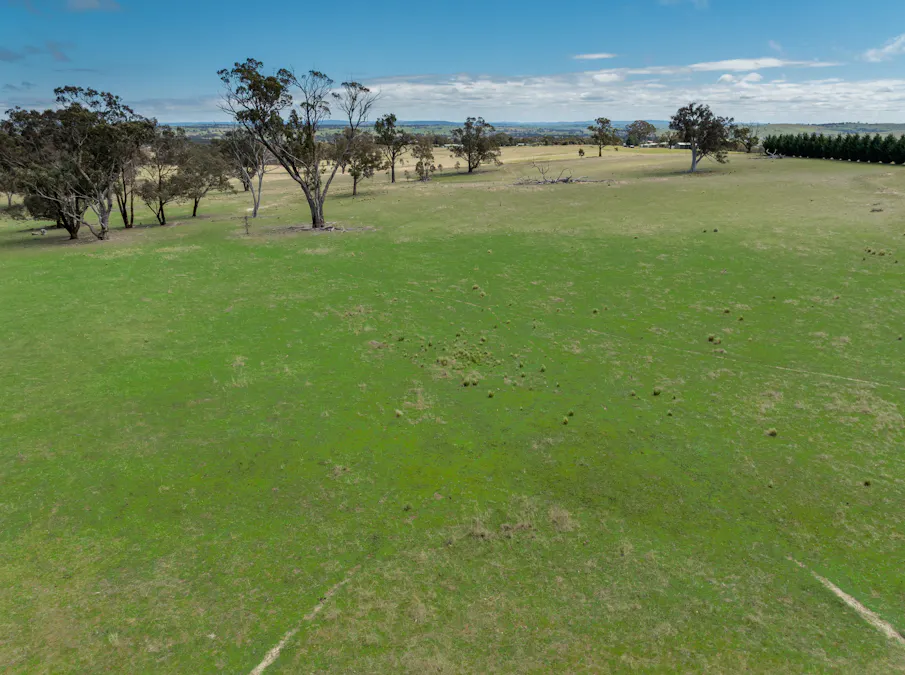 1291 Carlwood Road, O'connell, NSW, 2795 - Image 9