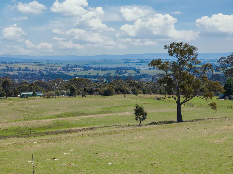 1291 Carlwood Road, O'connell, NSW, 2795 - Image 3