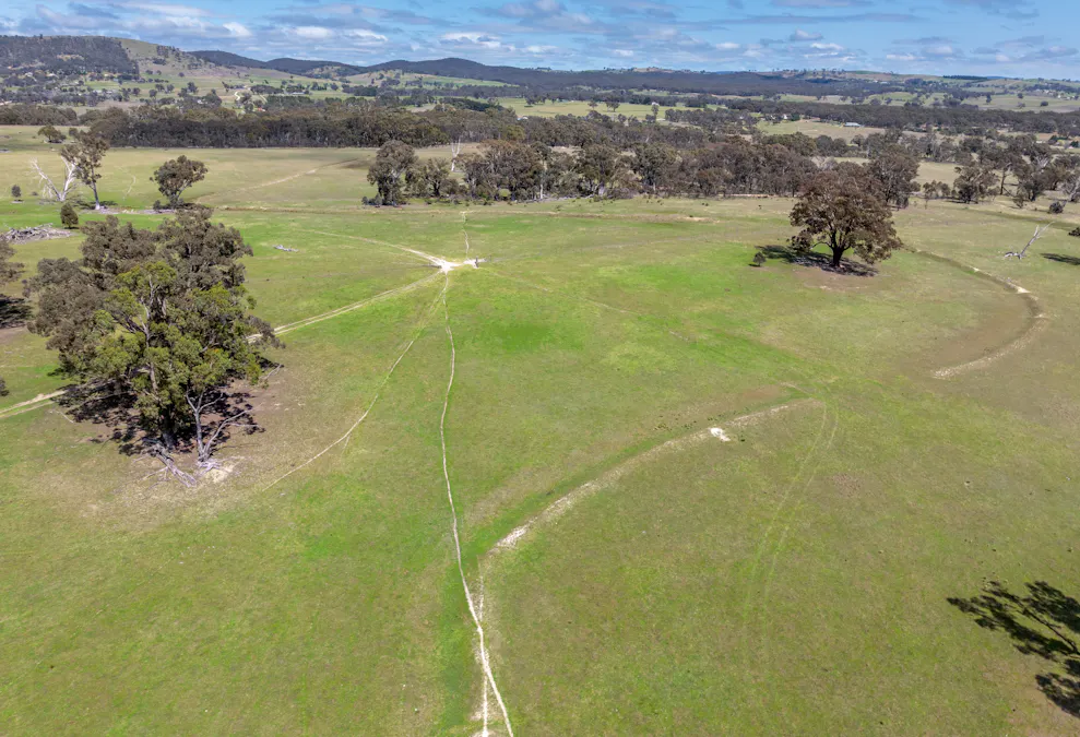 1291 Carlwood Road, O'connell, NSW, 2795 - Image 11