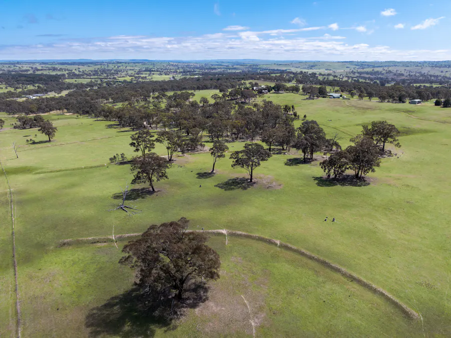 1291 Carlwood Road, O'connell, NSW, 2795 - Image 13