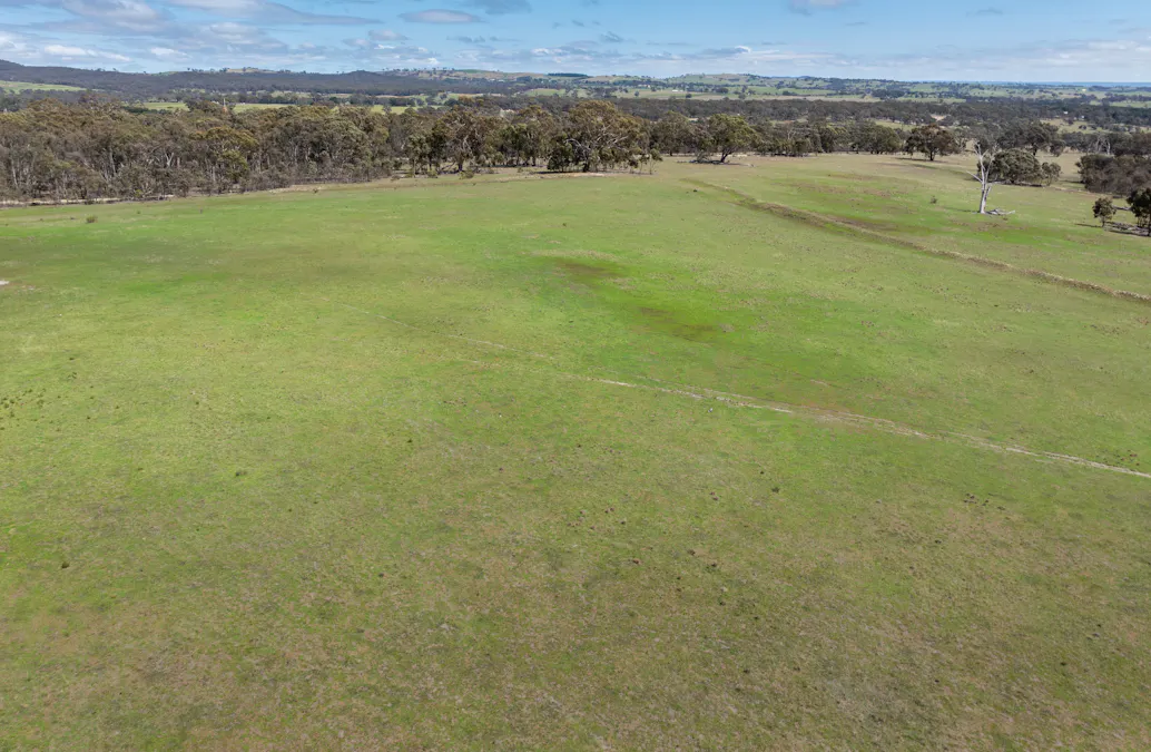 1291 Carlwood Road, O'connell, NSW, 2795 - Image 15