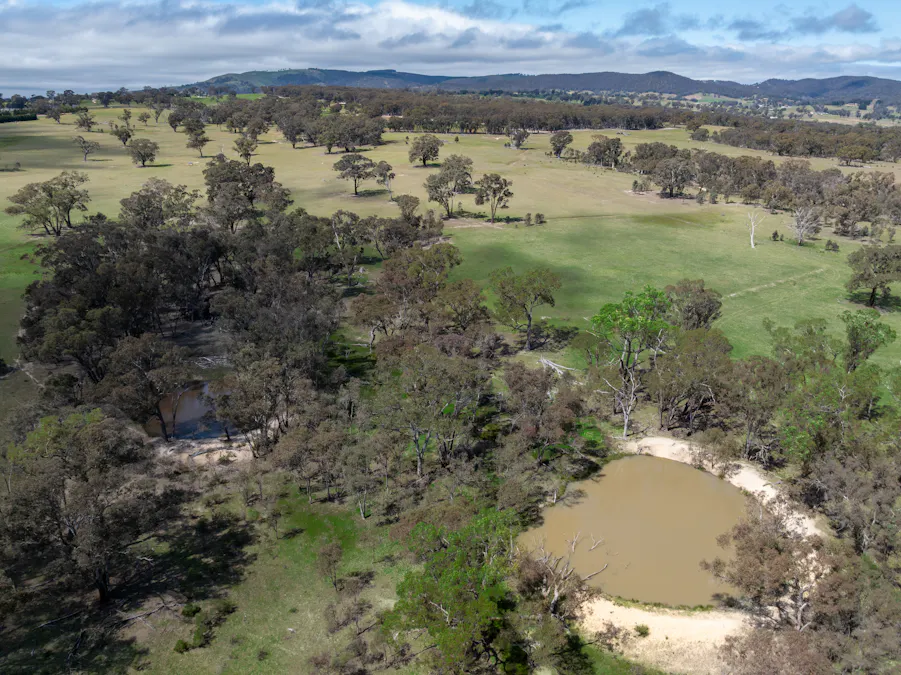 1291 Carlwood Road, O'connell, NSW, 2795 - Image 17
