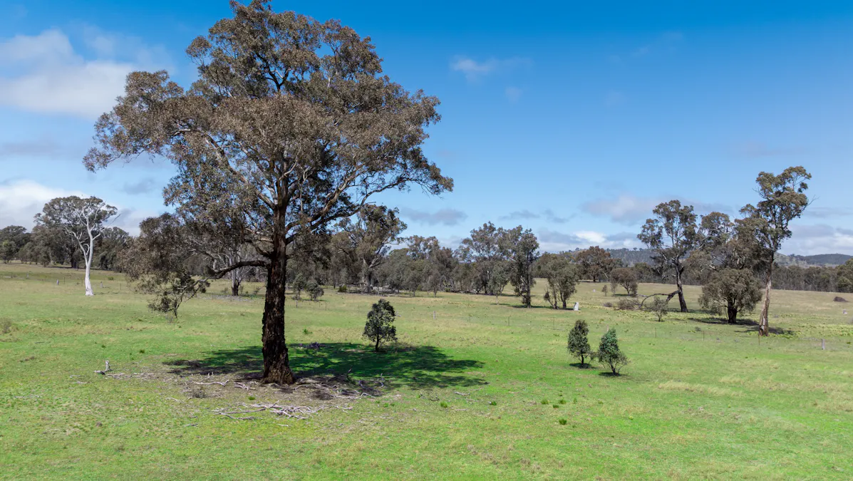 1291 Carlwood Road, O'connell, NSW, 2795 - Image 18