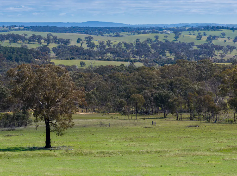 1291 Carlwood Road, O'connell, NSW, 2795 - Image 20