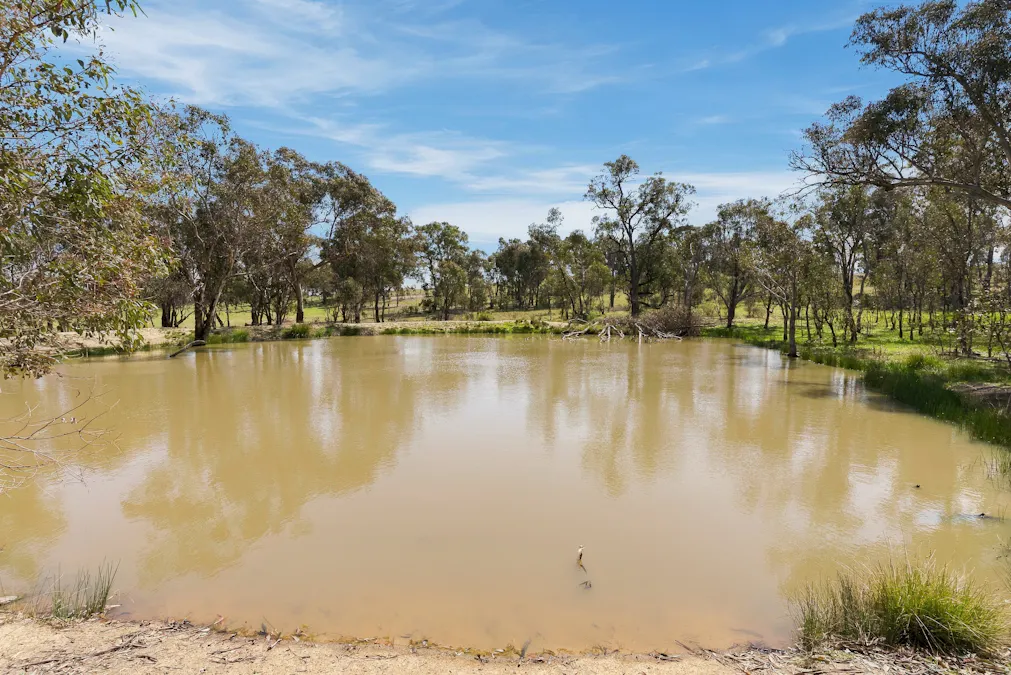 1291 Carlwood Road, O'connell, NSW, 2795 - Image 21