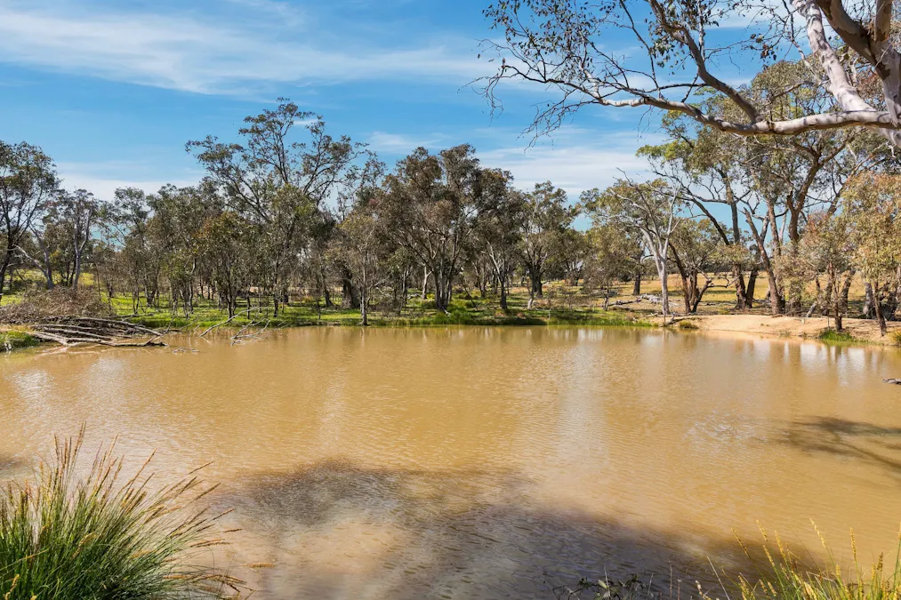 1291 Carlwood Road, O'connell, NSW, 2795 - Image 5