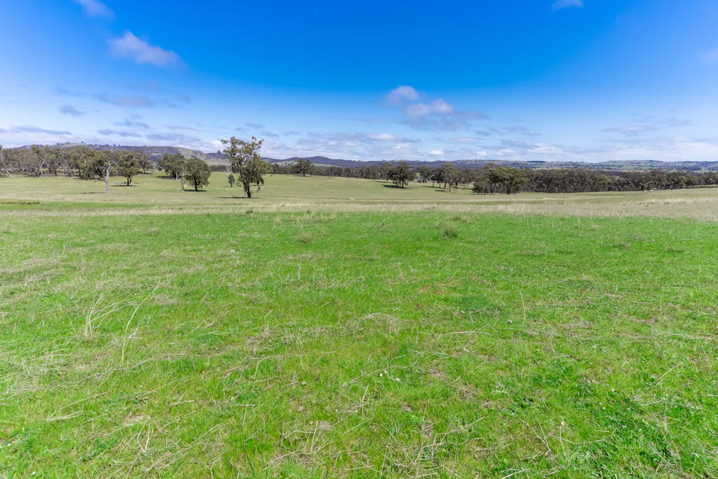 1291 Carlwood Road, O'connell, NSW, 2795 - Image 22