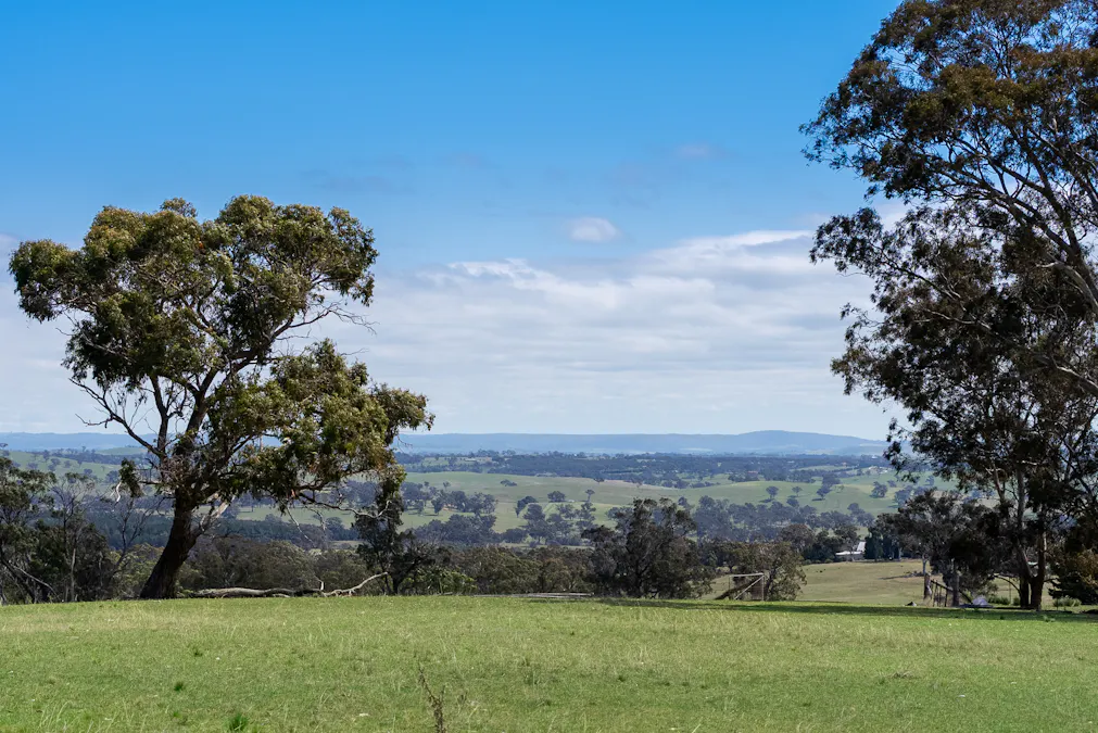 1291 Carlwood Road, O'connell, NSW, 2795 - Image 2