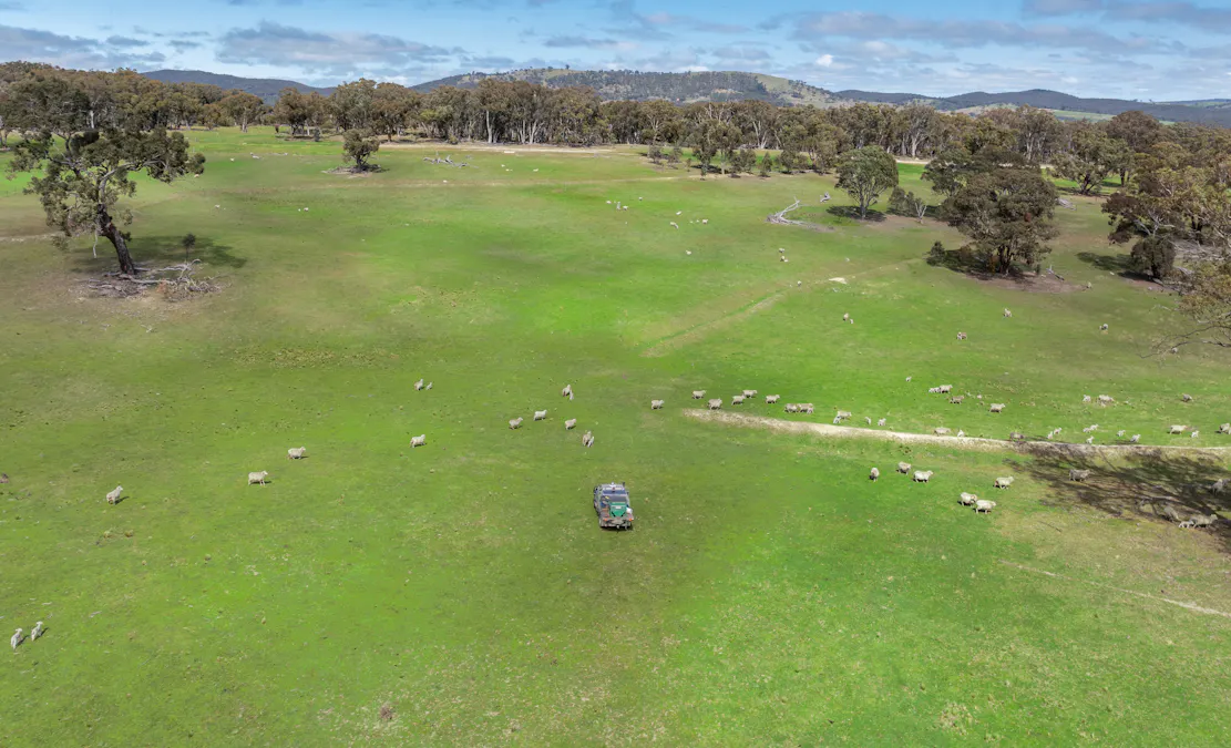 1291 Carlwood Road, O'connell, NSW, 2795 - Image 23