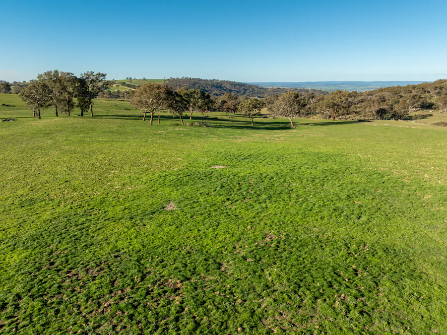 2097 Mitchell Highway, Vittoria, NSW, 2799 - Image 4