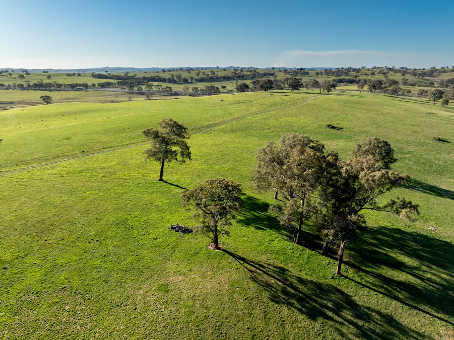 2097 Mitchell Highway, Vittoria, NSW, 2799 - Image 5