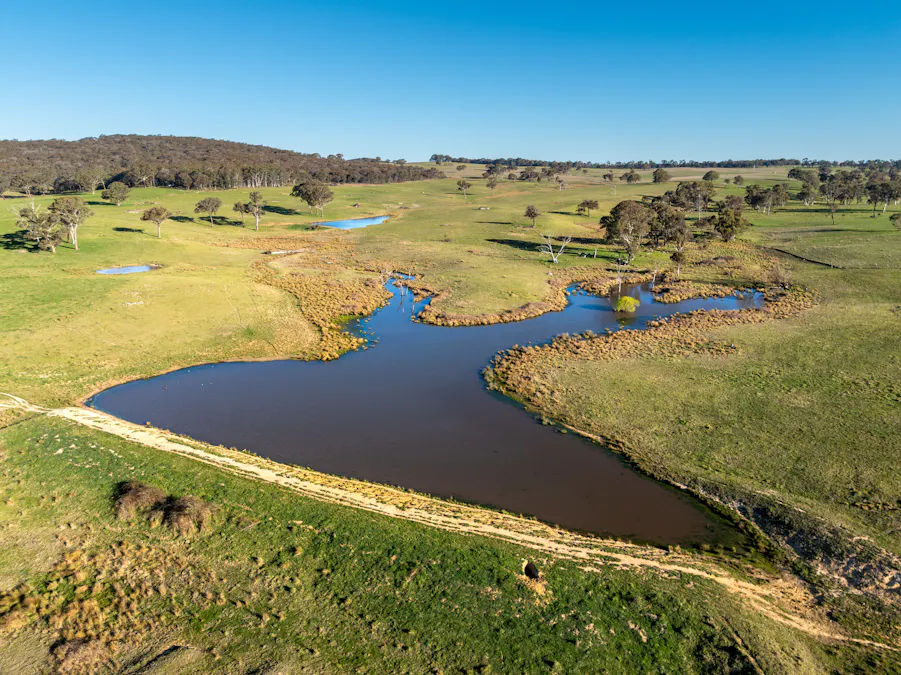 2097 Mitchell Highway, Vittoria, NSW, 2799 - Image 6