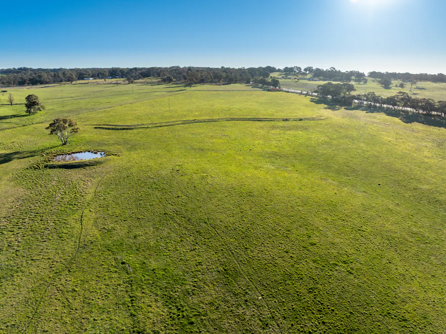 2097 Mitchell Highway, Vittoria, NSW, 2799 - Image 8