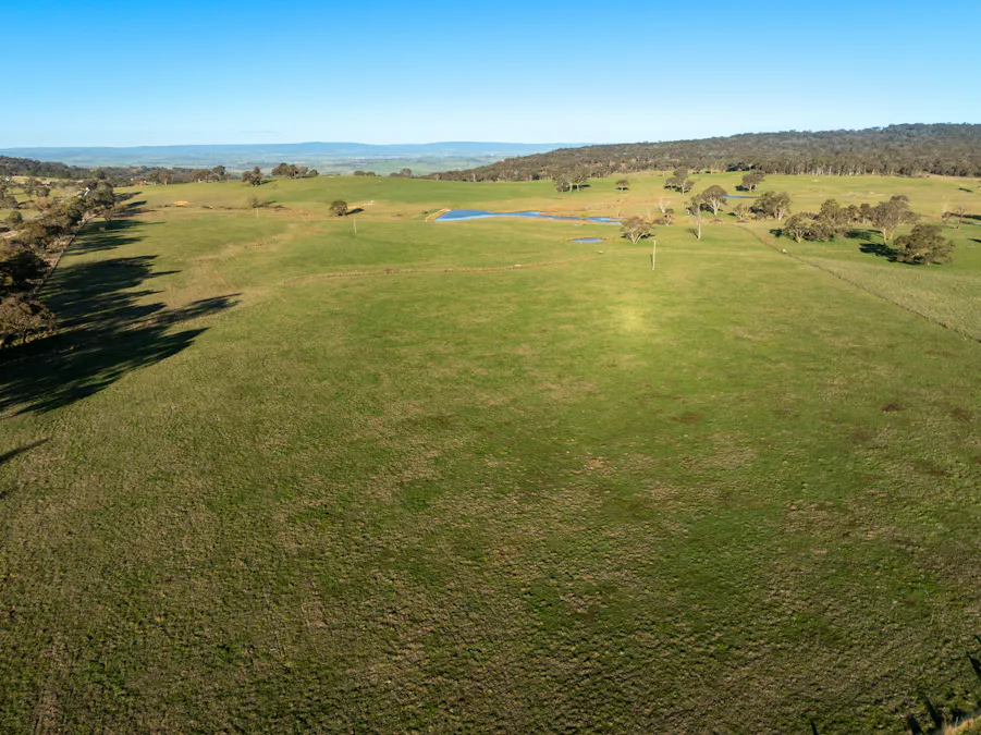 2097 Mitchell Highway, Vittoria, NSW, 2799 - Image 12