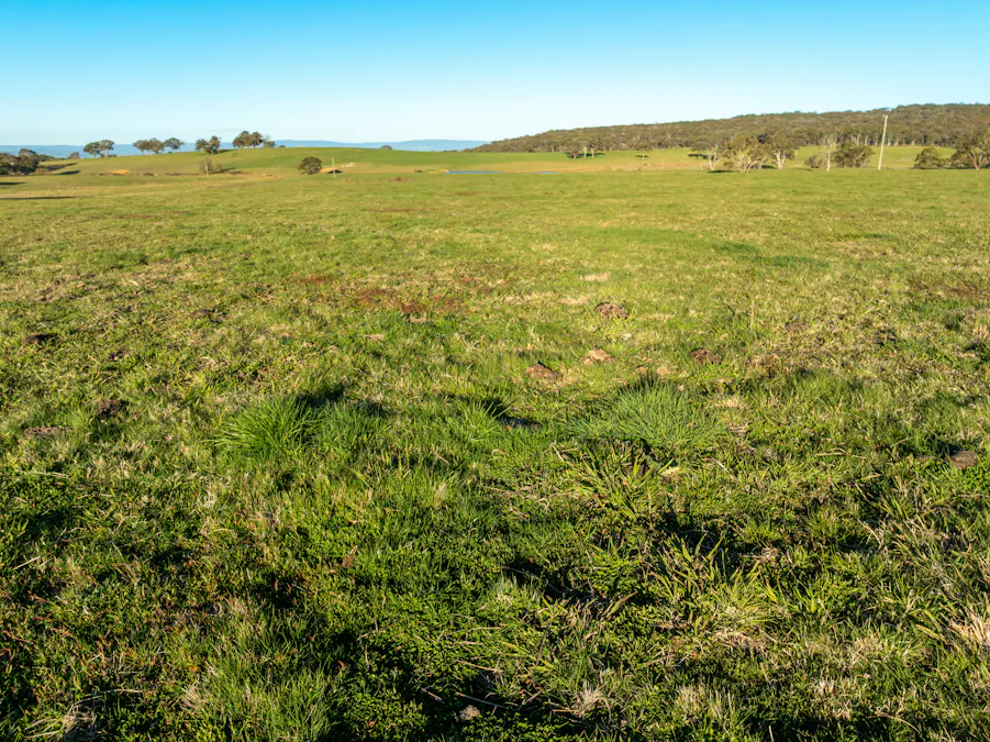 2097 Mitchell Highway, Vittoria, NSW, 2799 - Image 14