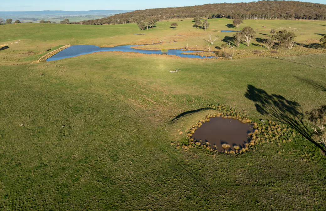 2097 Mitchell Highway, Vittoria, NSW, 2799 - Image 15