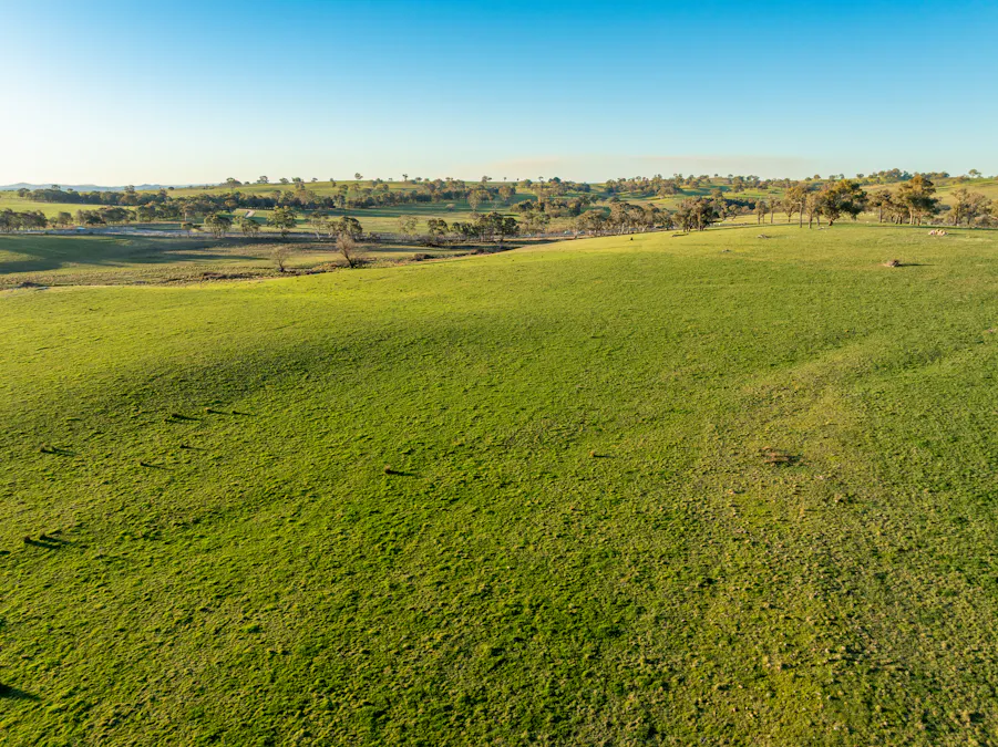 2097 Mitchell Highway, Vittoria, NSW, 2799 - Image 18