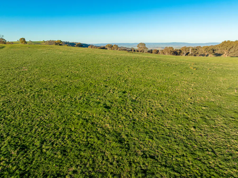 2097 Mitchell Highway, Vittoria, NSW, 2799 - Image 19