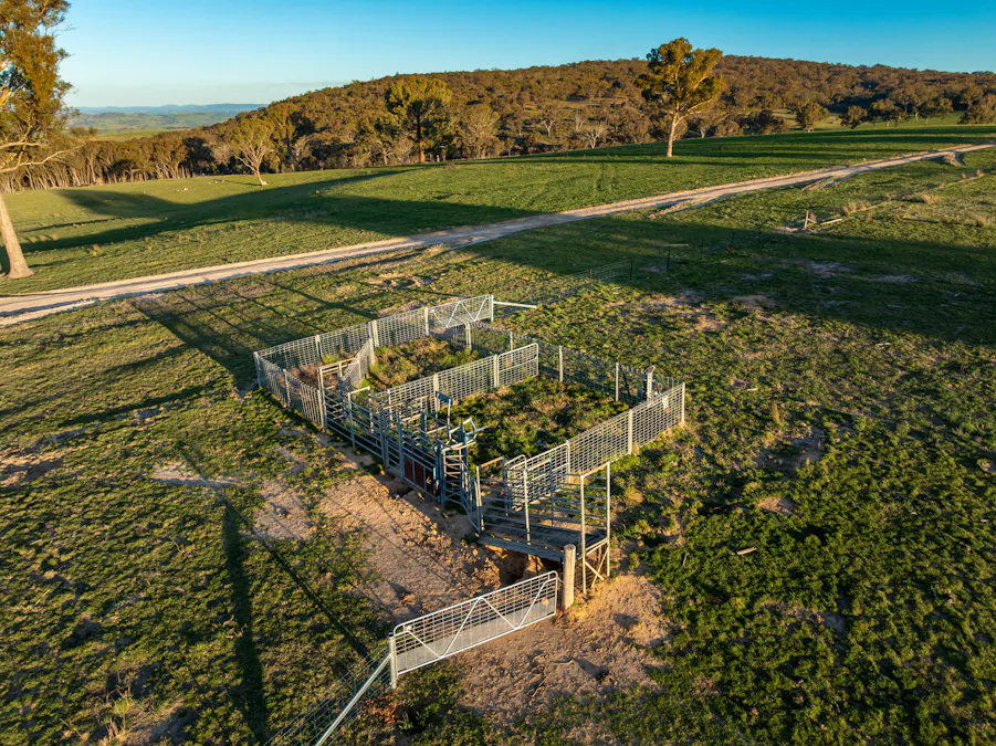 2097 Mitchell Highway, Vittoria, NSW, 2799 - Image 21