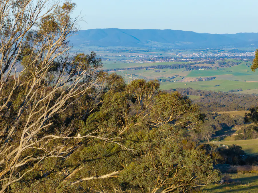 2097 Mitchell Highway, Vittoria, NSW, 2799 - Image 22