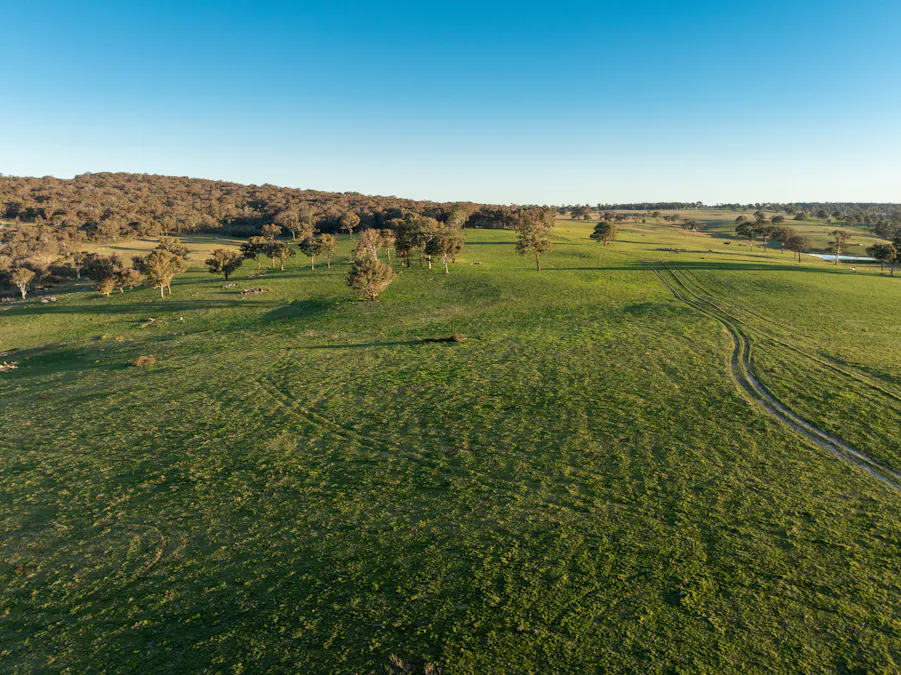 2097 Mitchell Highway, Vittoria, NSW, 2799 - Image 23