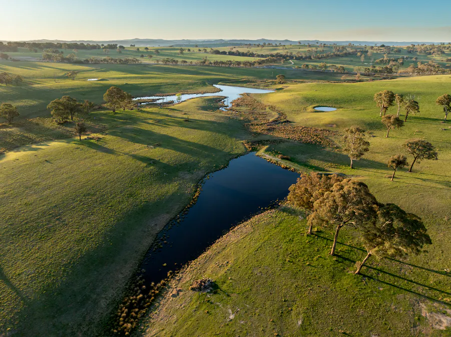 2097 Mitchell Highway, Vittoria, NSW, 2799 - Image 1