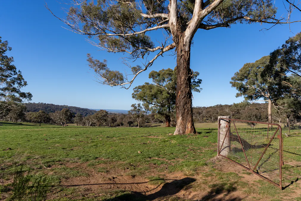 2097 Mitchell Highway, Vittoria, NSW, 2799 - Image 32