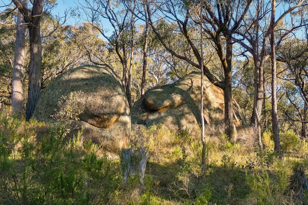 2097 Mitchell Highway, Vittoria, NSW, 2799 - Image 28