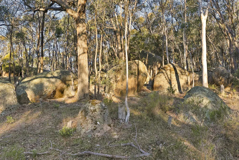 2097 Mitchell Highway, Vittoria, NSW, 2799 - Image 29