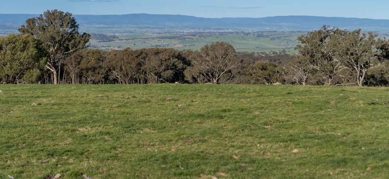 2097 Mitchell Highway, Vittoria, NSW, 2799 - Image 30