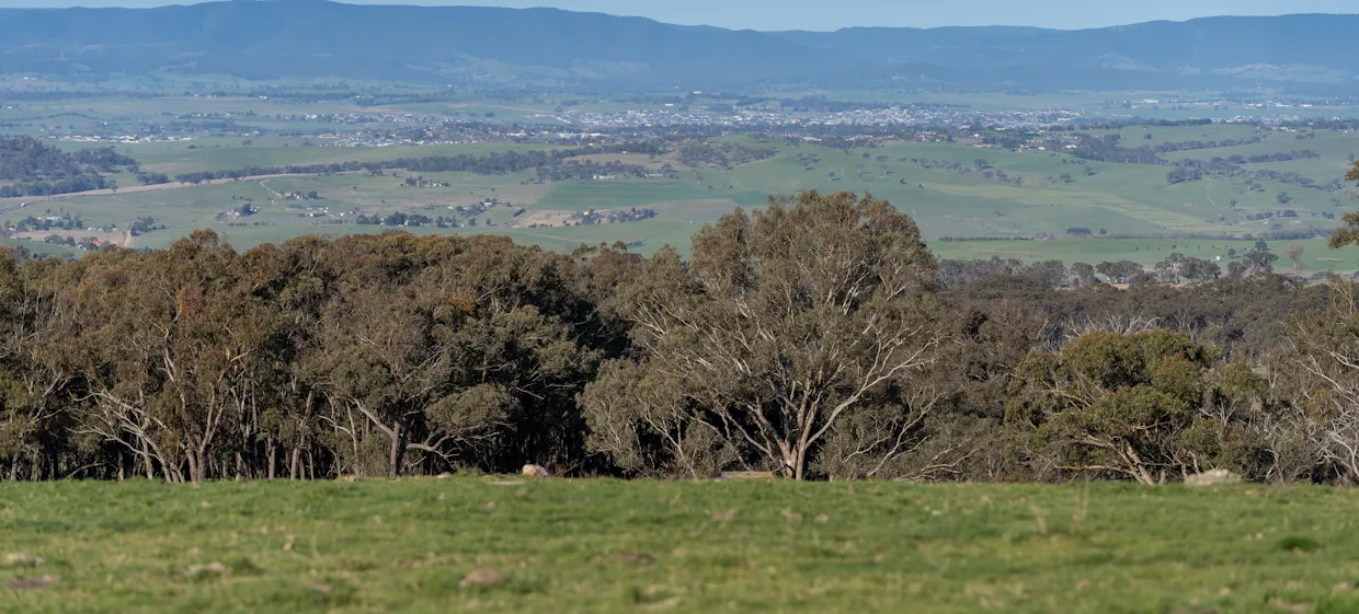 2097 Mitchell Highway, Vittoria, NSW, 2799 - Image 3
