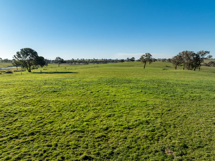 2097 Mitchell Highway, Vittoria, NSW, 2799 - Image 31