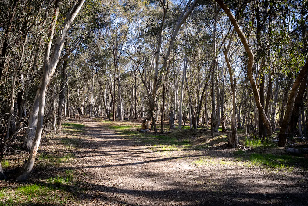 1821 Mitchell Highway, The Rocks, NSW, 2795 - Image 30