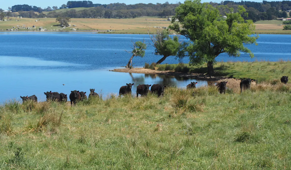 165 Harveys Road, Oberon, NSW, 2787 - Image 17