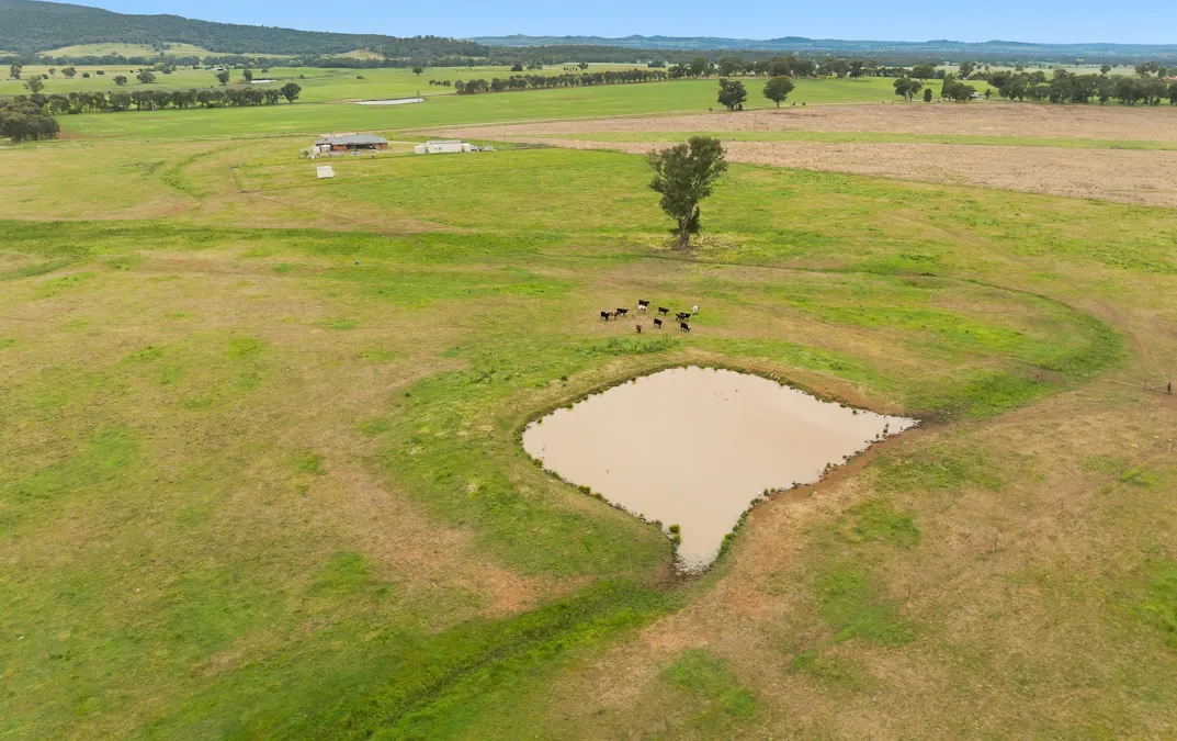 133 Sheep Station Road, Cowra, NSW, 2794 - Image 3