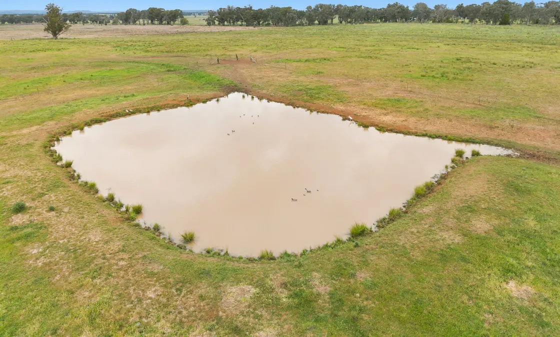 133 Sheep Station Road, Cowra, NSW, 2794 - Image 19