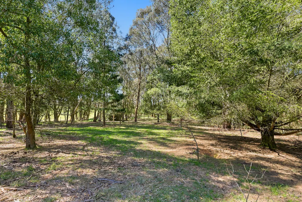 1945 Shooters Hill Road, Oberon, NSW, 2787 - Image 6