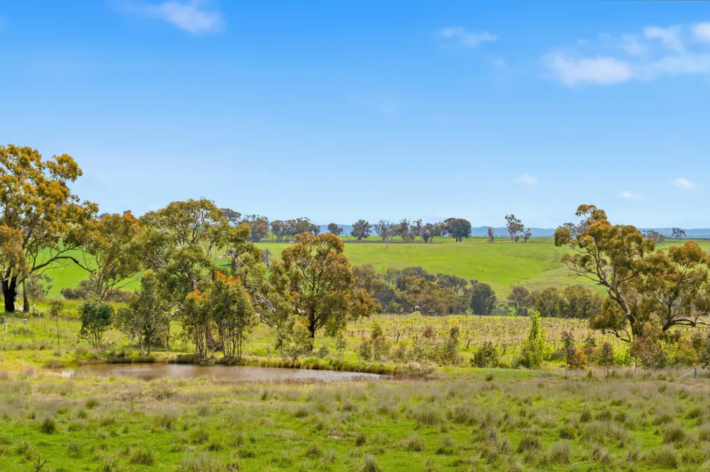 134 Lemmons Road Borenore via, Orange, NSW, 2800 - Image 10