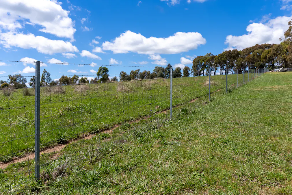 134 Lemmons Road Borenore via, Orange, NSW, 2800 - Image 11