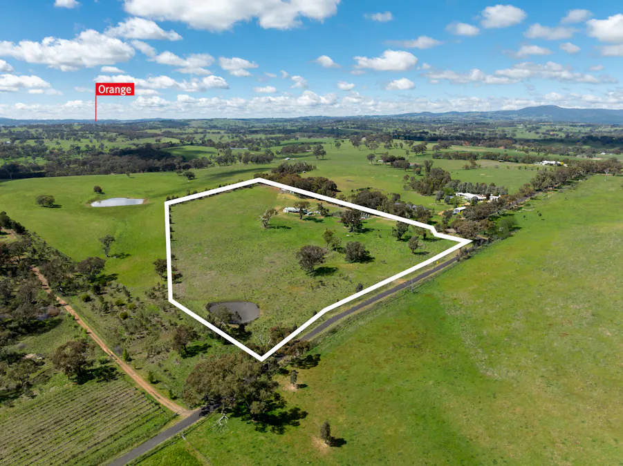 134 Lemmons Road Borenore via, Orange, NSW, 2800 - Image 18