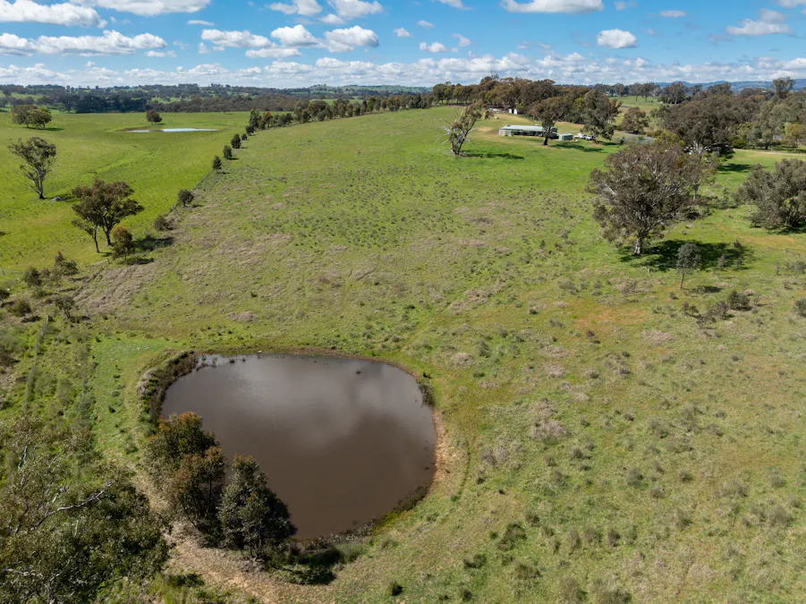 134 Lemmons Road Borenore via, Orange, NSW, 2800 - Image 19