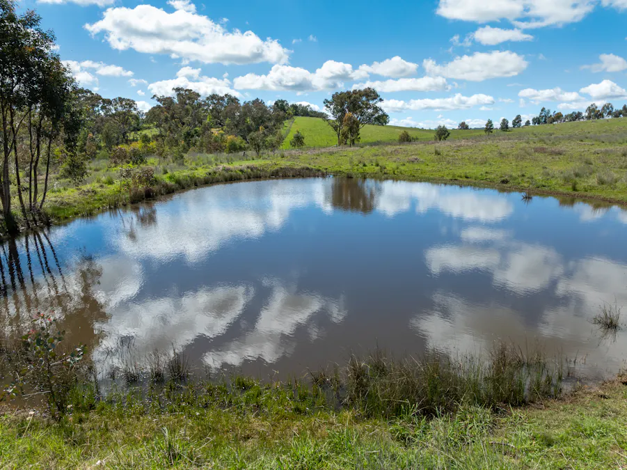 134 Lemmons Road Borenore via, Orange, NSW, 2800 - Image 20
