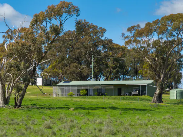 134 Lemmons Road Borenore via, Orange, NSW, 2800