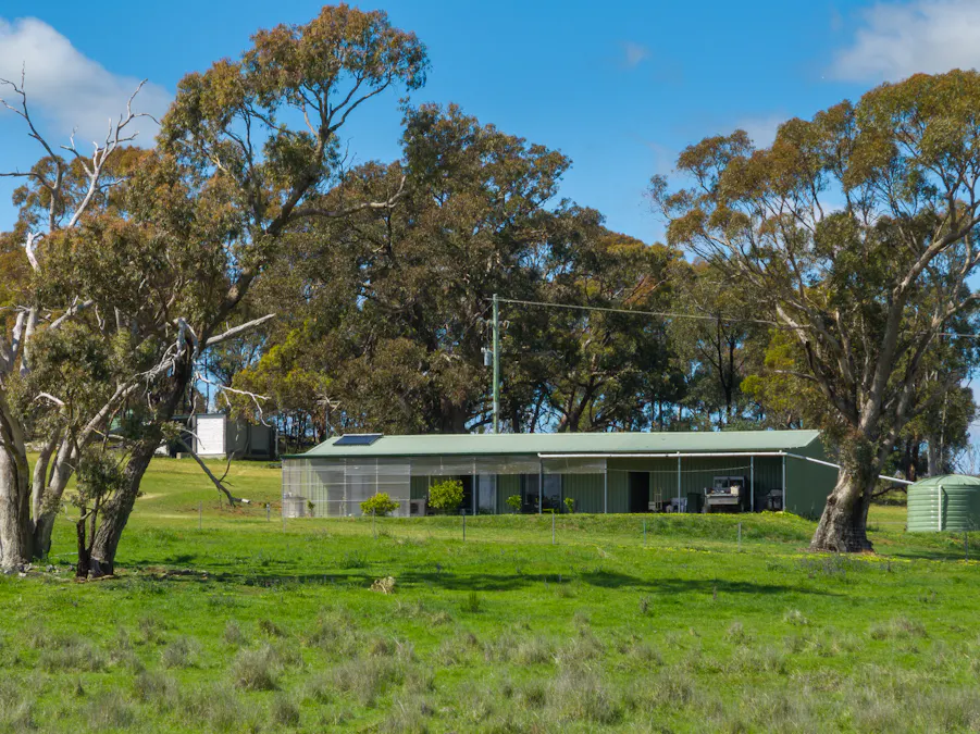 134 Lemmons Road Borenore via, Orange, NSW, 2800 - Image 1
