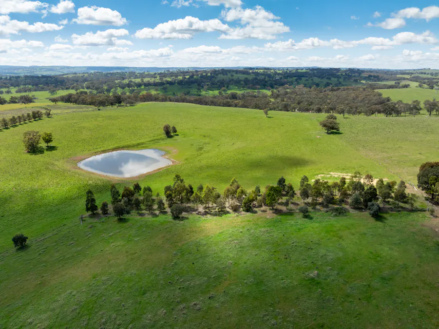 134 Lemmons Road Borenore via, Orange, NSW, 2800 - Image 22