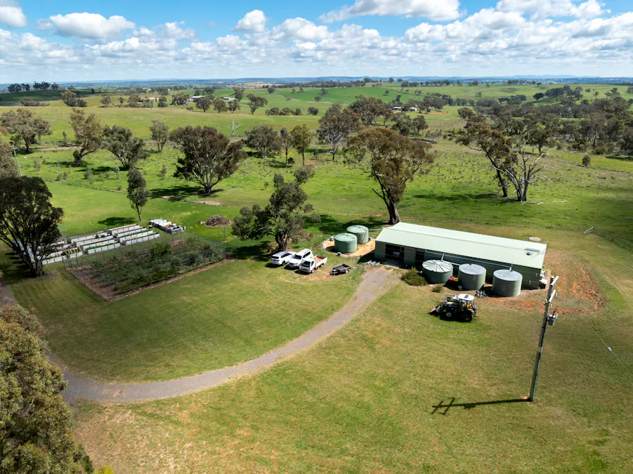 134 Lemmons Road Borenore via, Orange, NSW, 2800 - Image 24