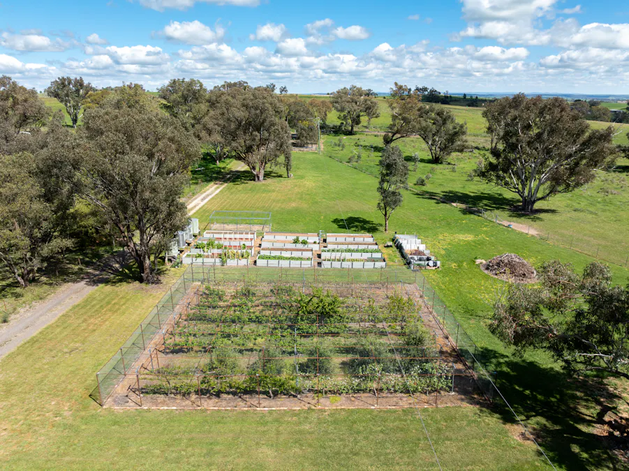 134 Lemmons Road Borenore via, Orange, NSW, 2800 - Image 26