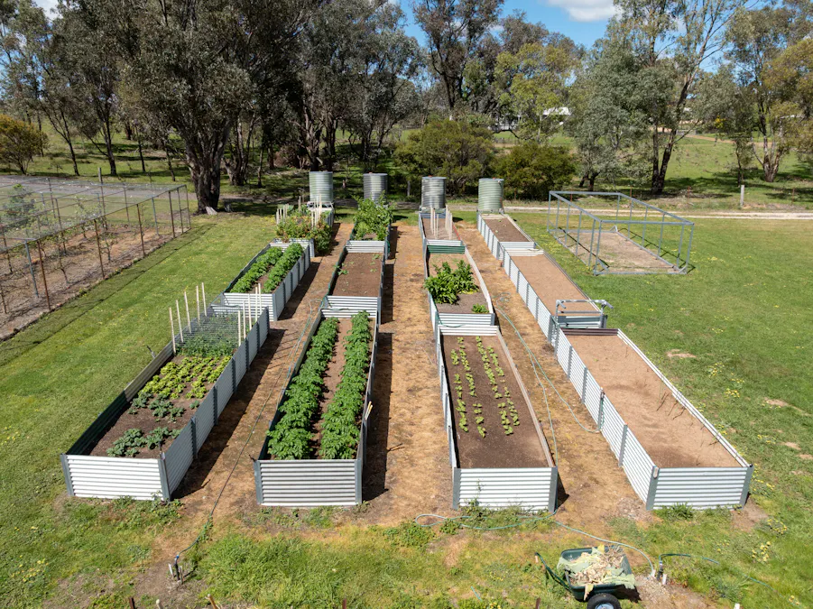 134 Lemmons Road Borenore via, Orange, NSW, 2800 - Image 27