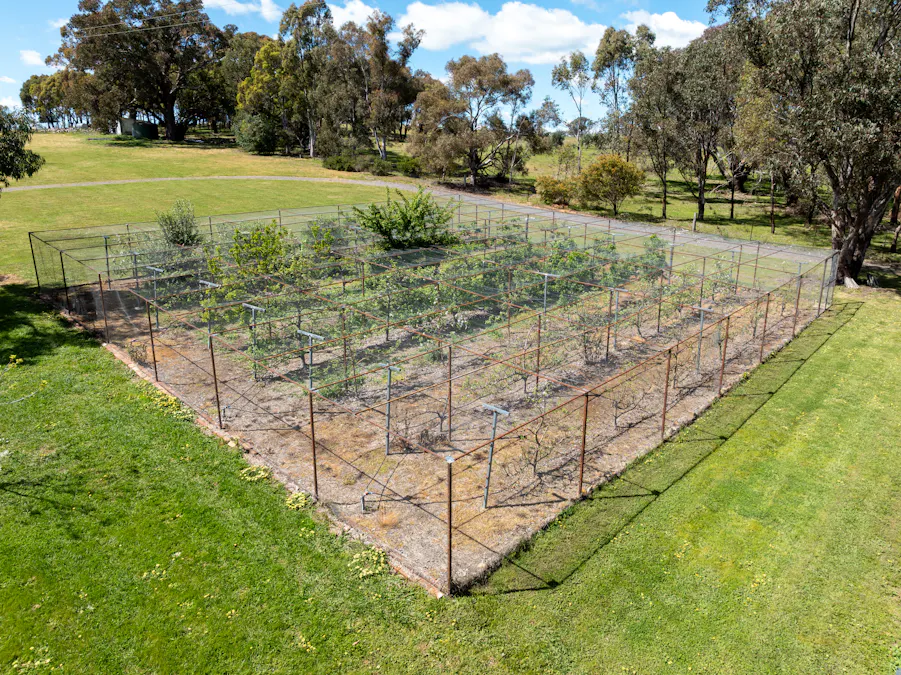 134 Lemmons Road Borenore via, Orange, NSW, 2800 - Image 28