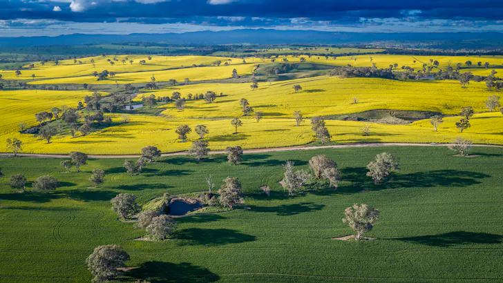 'Newry Downs' 91 Kenny's Lane, Lyndhurst, NSW, 2797